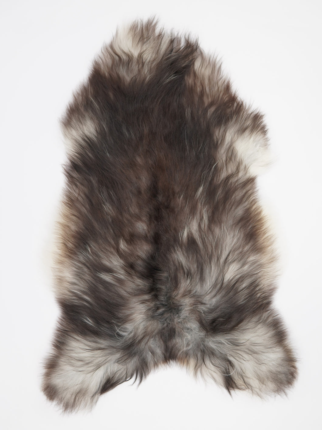 Pelēka Islandes aitāda XXL