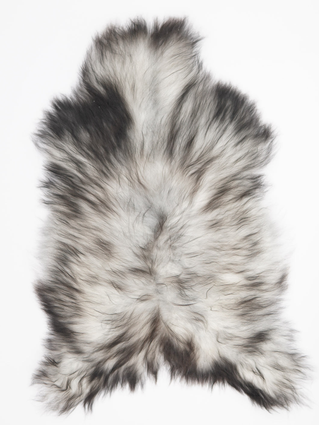 Pilkas islandiškas avikailis XL