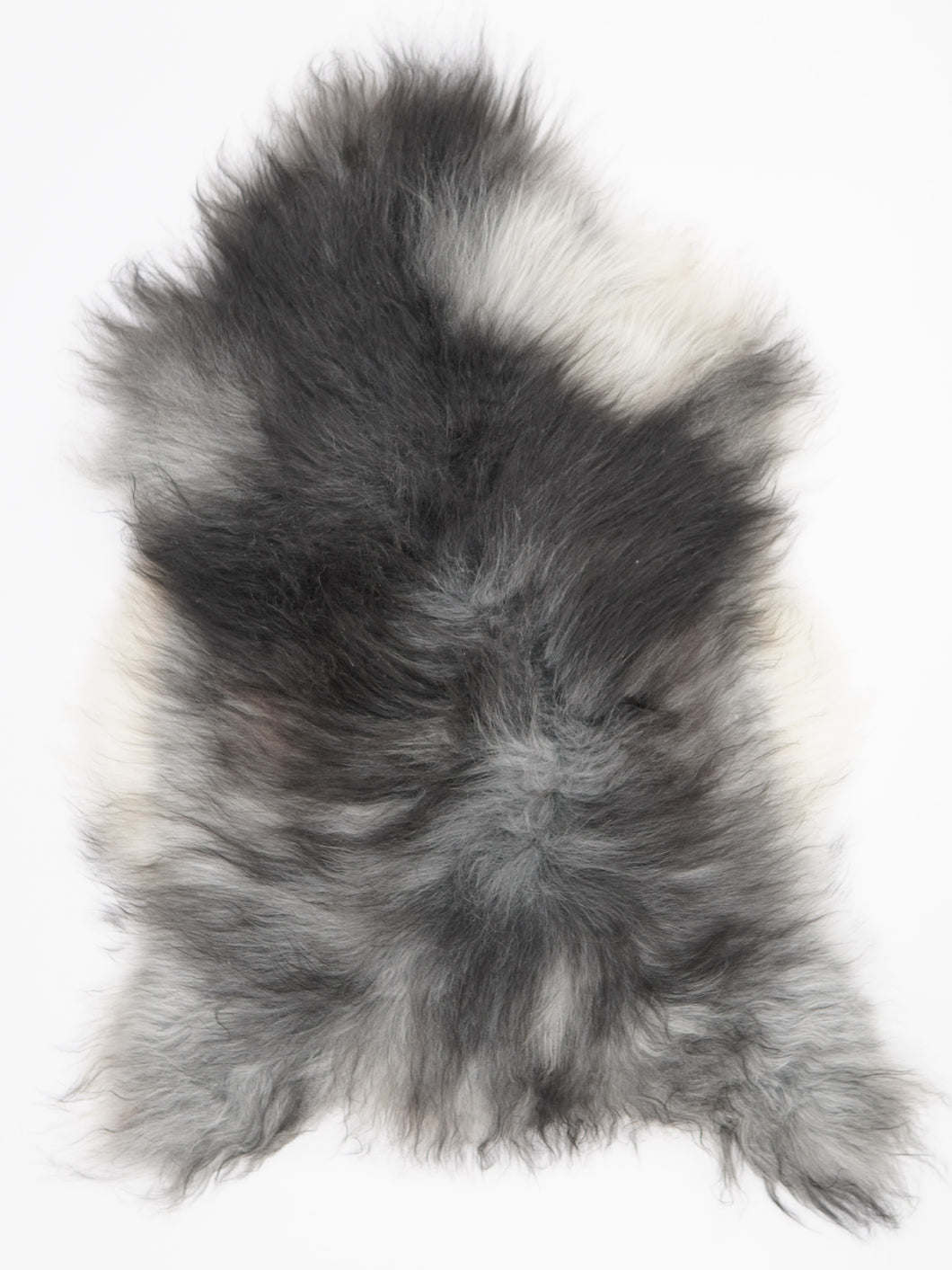 Pelēka Islandes aitāda XL 