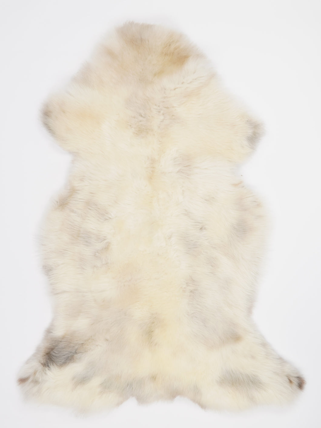 Įvairiaspalvis avikailis XL