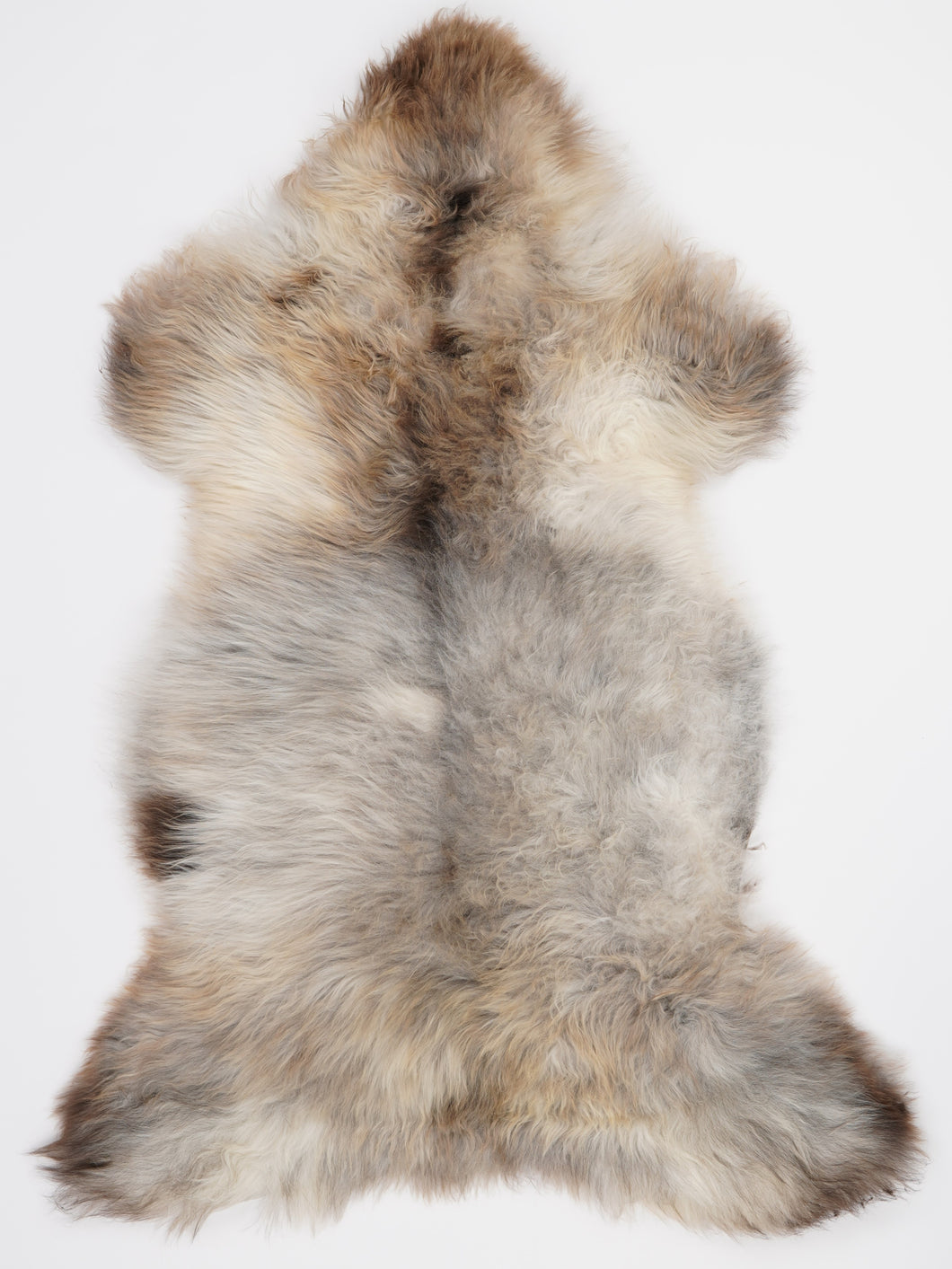 Įvairiaspalvis avikailis XL