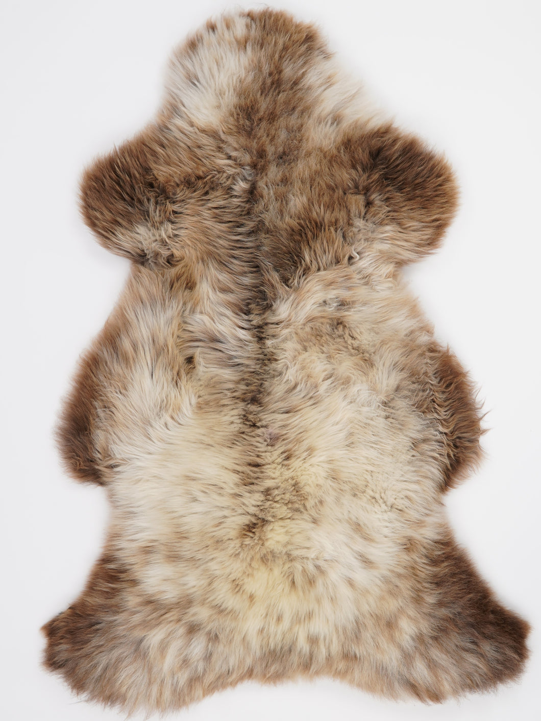 Įvairiaspalvis avikailis XL