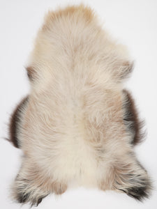 Islandes aitāda XXXL 