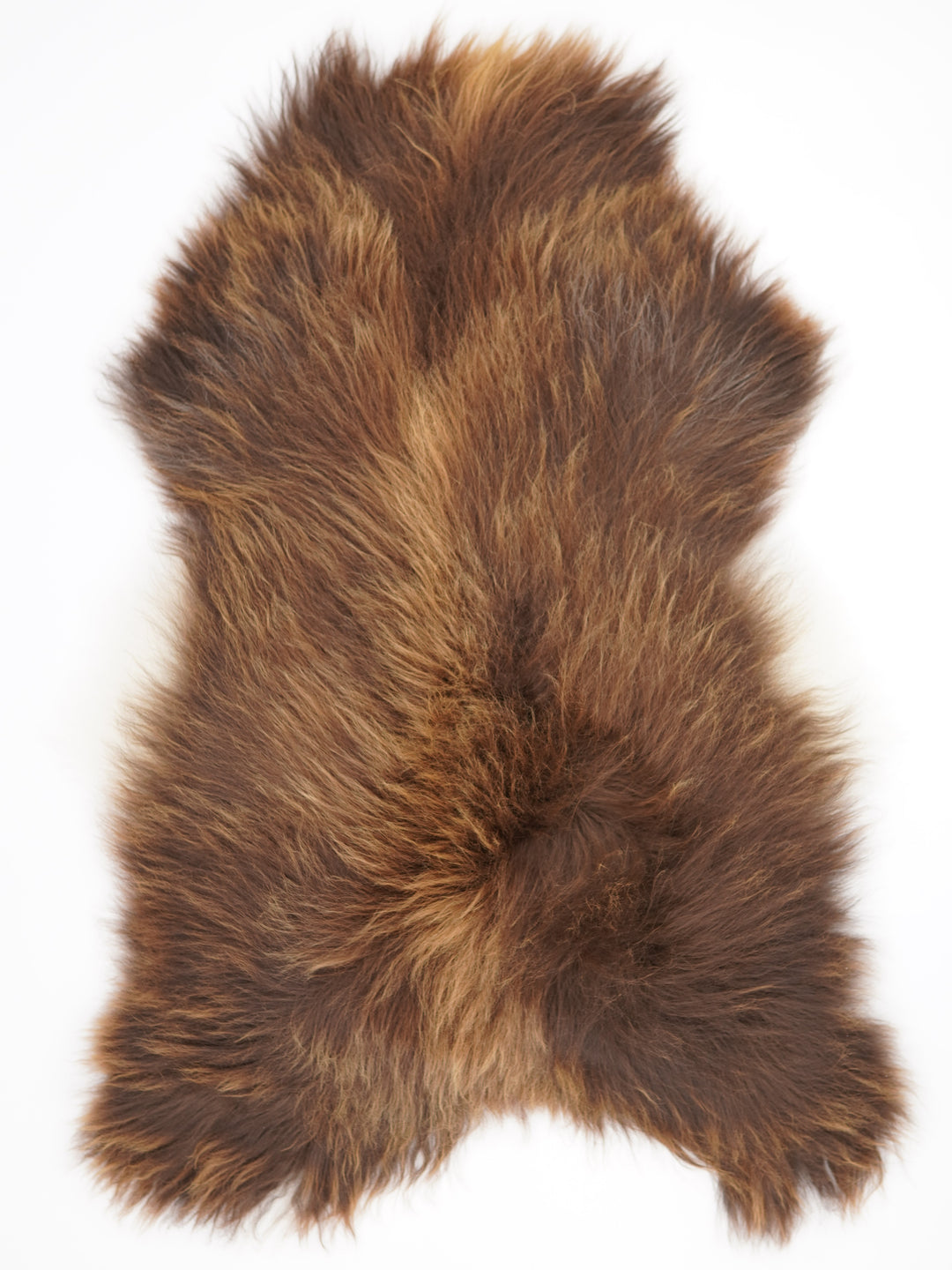 Islandes aitāda XXXL
