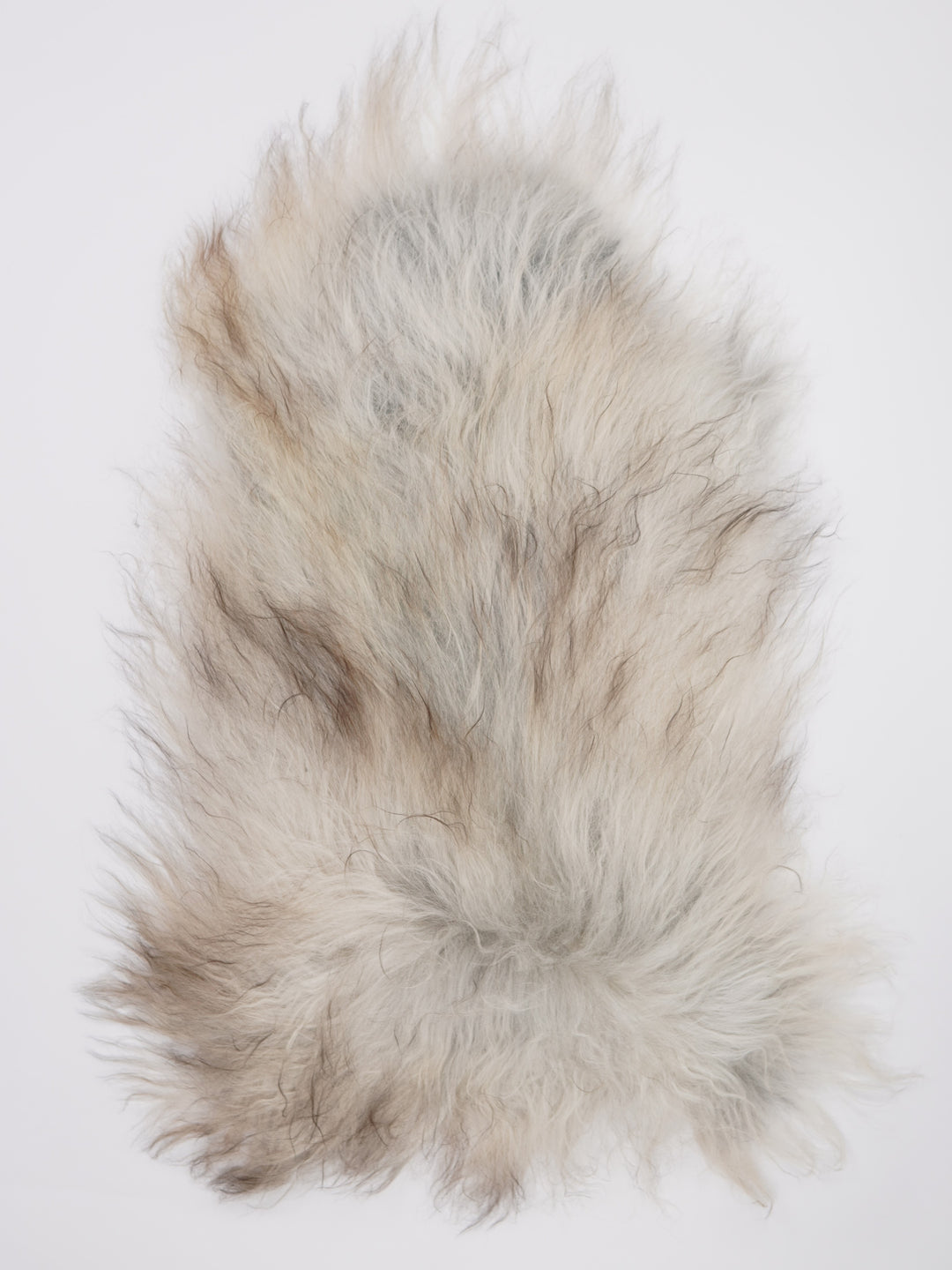 Islandiškas avikailis L