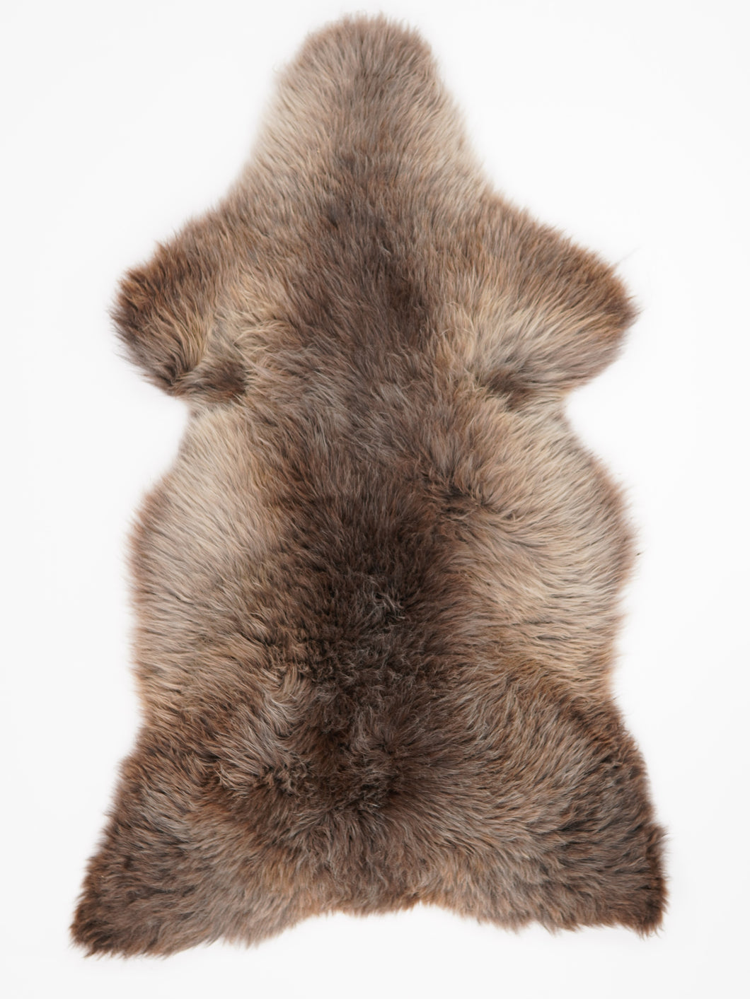 Įvairiaspalvis avikailis XL