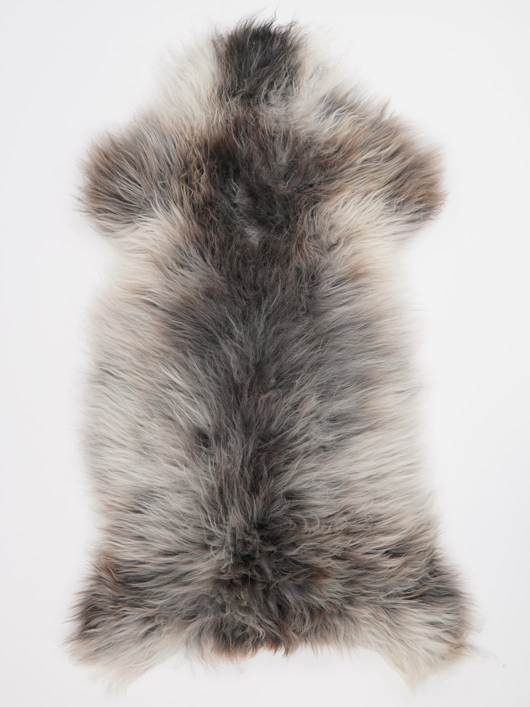 Įvairiaspalvis avikailis XL