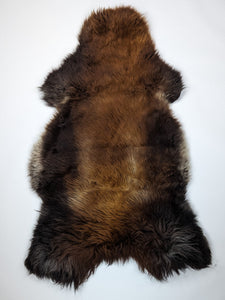 Brūna aitāda "Rusty" XL