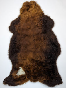 Brūna aitāda "Rusty" XL 