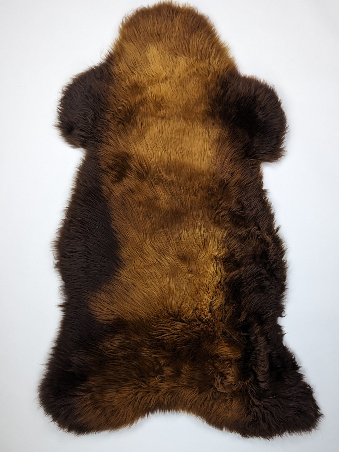 Brūna aitāda "Rusty" XL