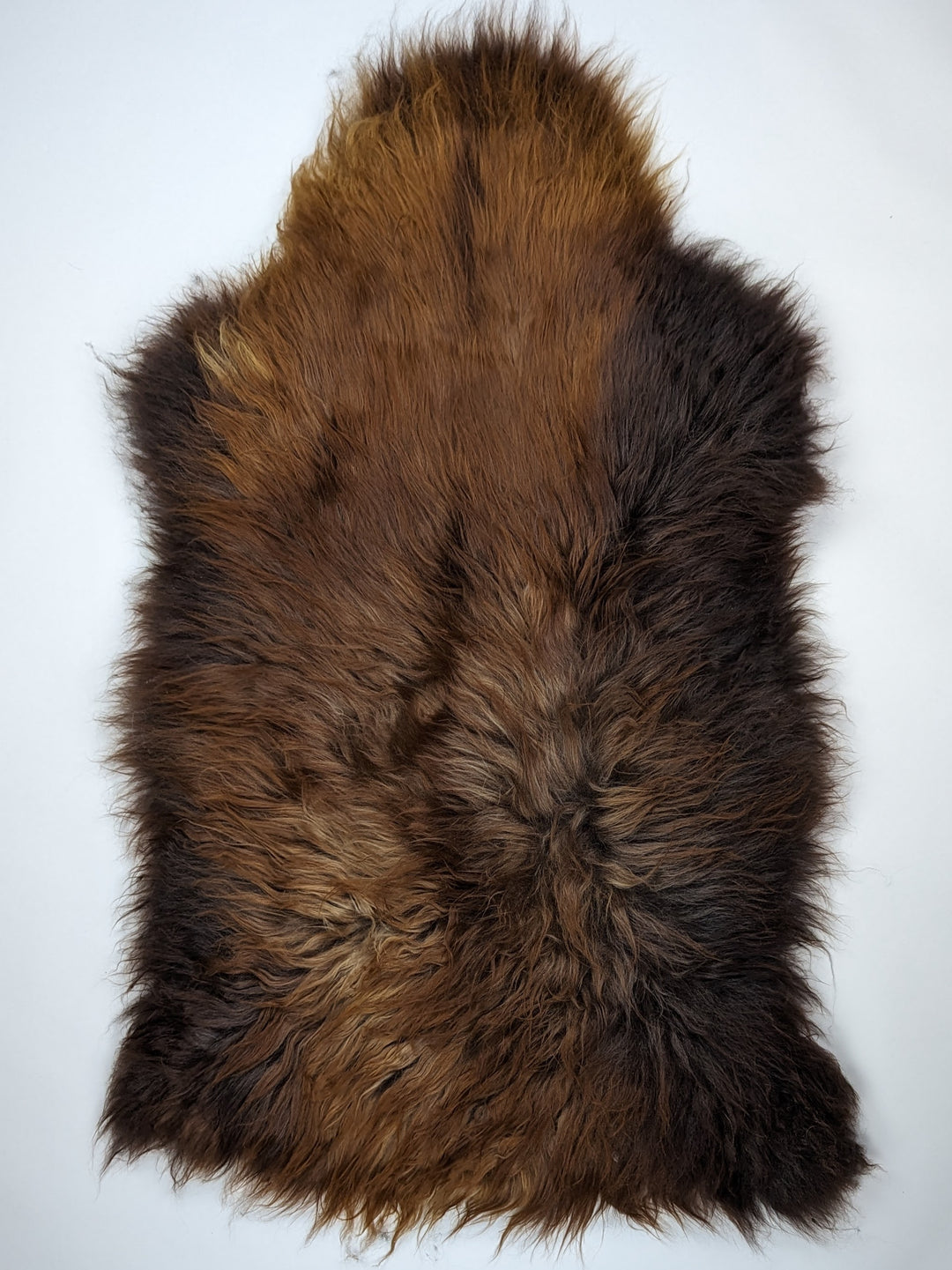 Islandes aitādas "Rusty" XXL 