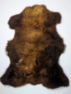 Brūna aitāda "Rusty" M