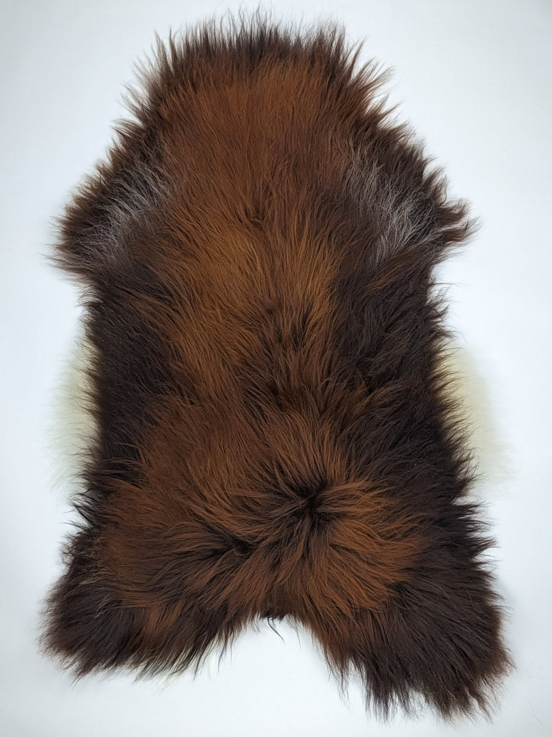 Islandes aitādas "Rusty" XXL 