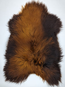 Islandes aitādas "Rusty" XXL 