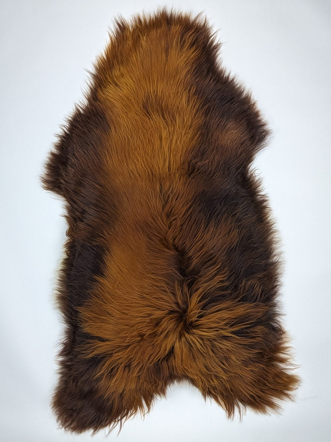 Islandes aitāda "Rusty" XXXL 
