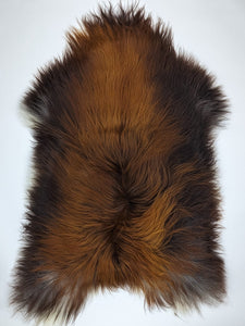 Islandes aitādas "Rusty" XXL 
