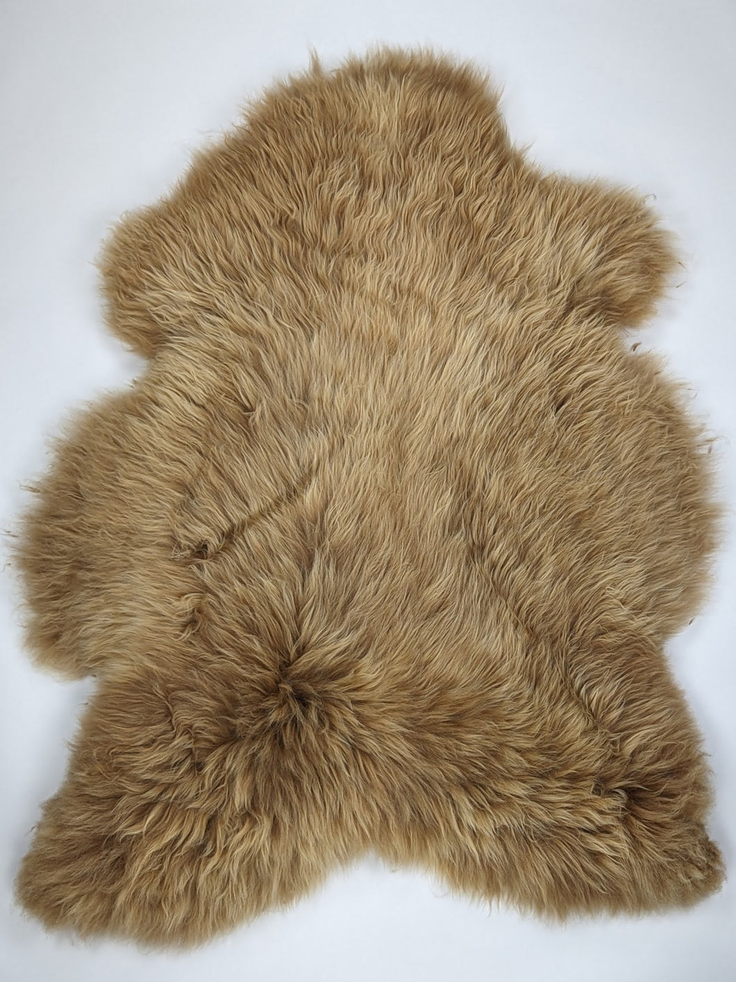 Įvairiaspalvis avikailis XXL