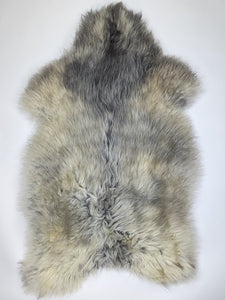 Daudzkrāsaina aitāda XXXL 