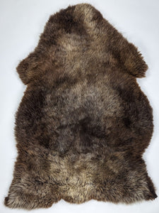 Daudzkrāsaina aitāda XXL 