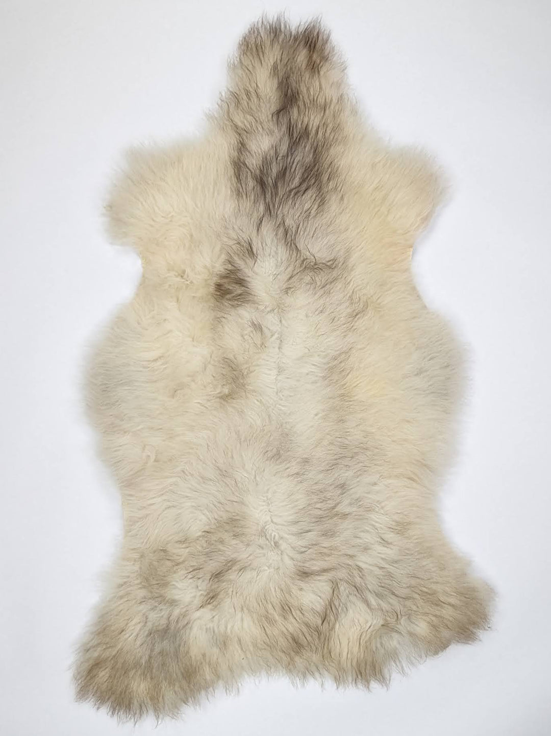 B klase Daudzkrāsaina aitāda M