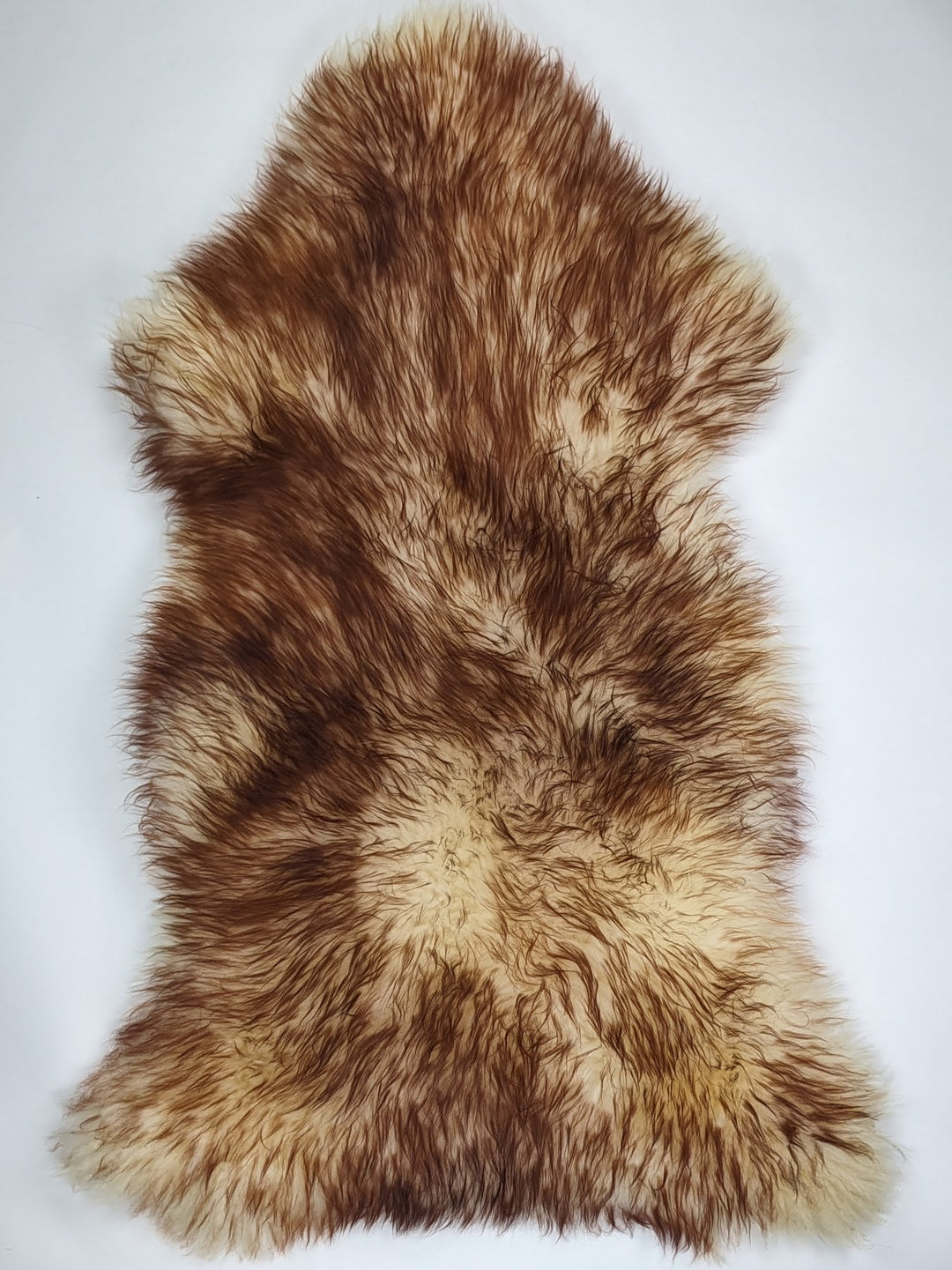 Muflona aitāda XXXL