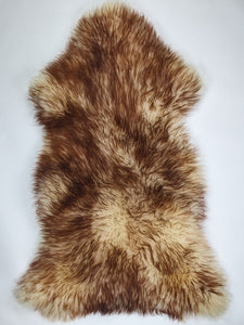 Muflona aitāda XXXL