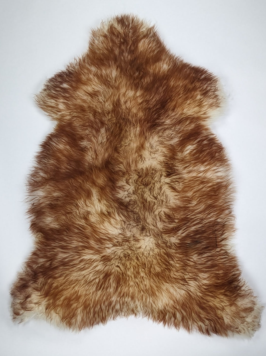 Muflona aitāda XL 