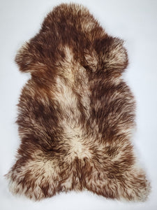 Muflona aitāda XL 