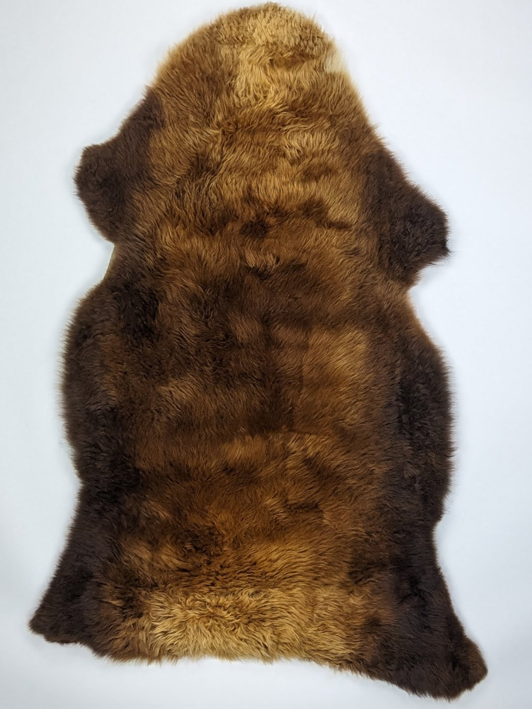 Brūna aitāda "Rusty" XL