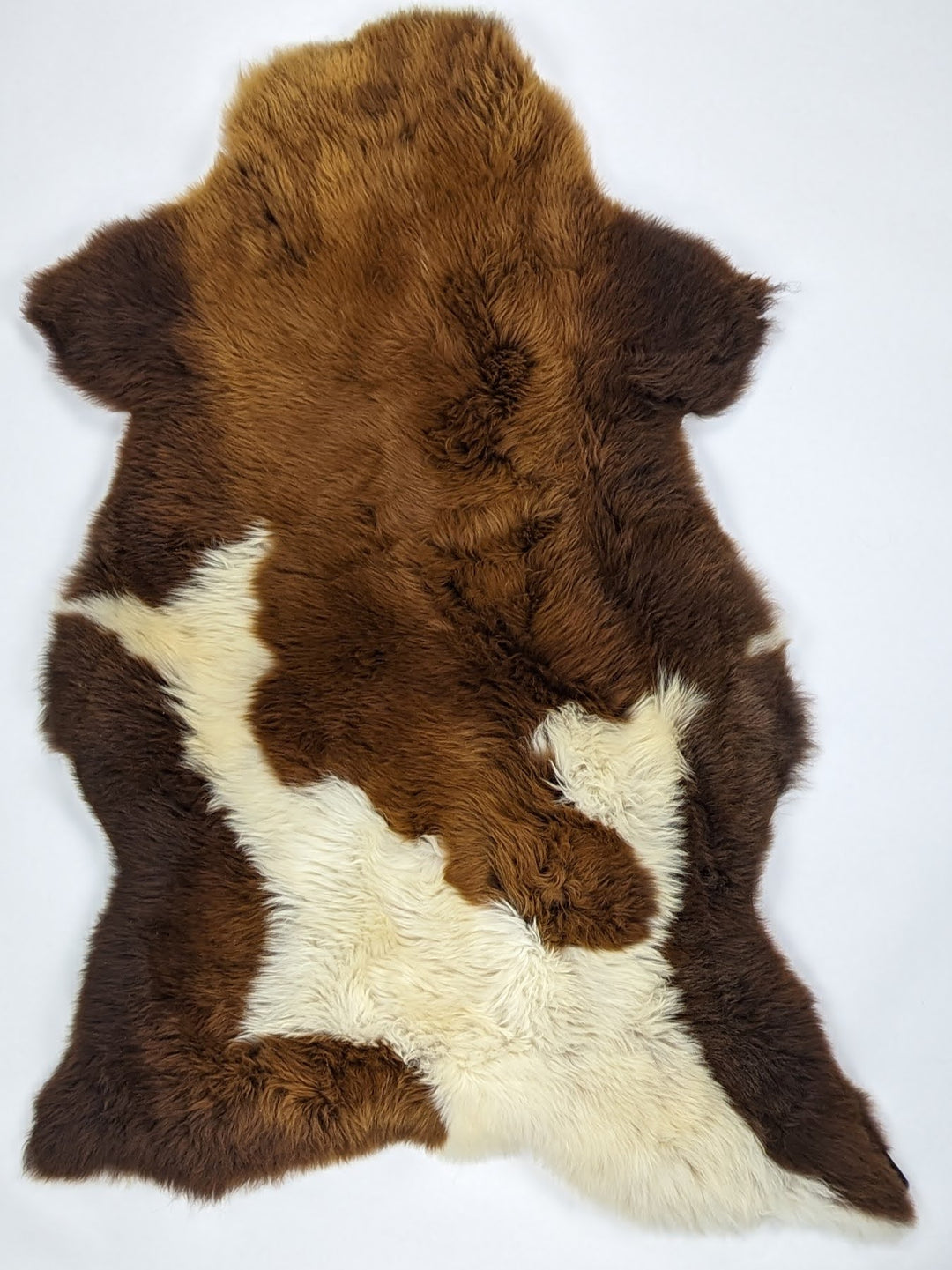 Brūna aitāda "Rusty" XL 