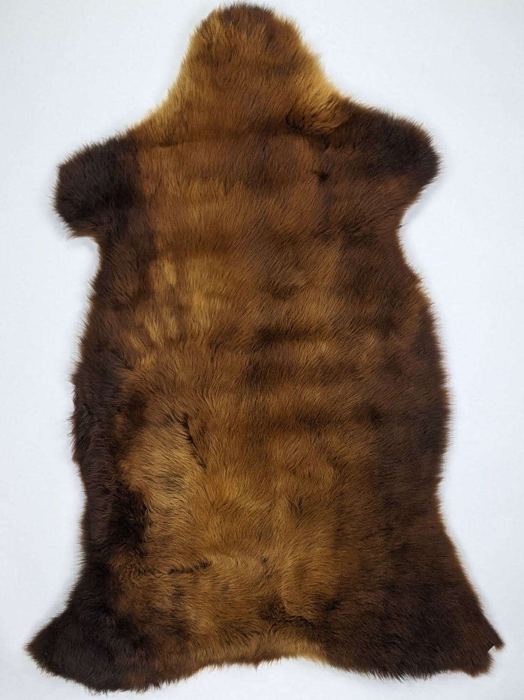 Brūna aitāda "Rusty" L