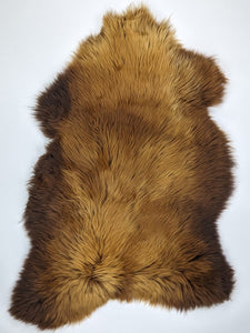 Brūna aitāda "Rusty" XXL 
