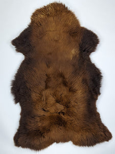 Brūna aitāda "Rusty" XL