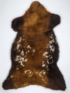 Brūna aitāda "Rusty" XL