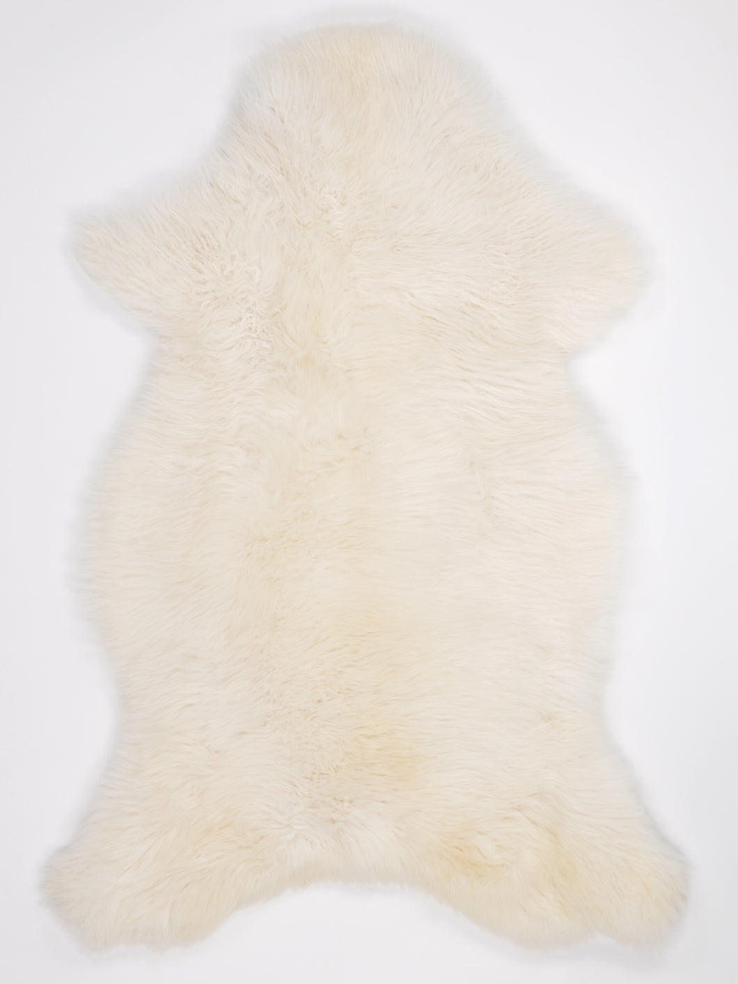 Skandinaviškas baltas avikailis XL