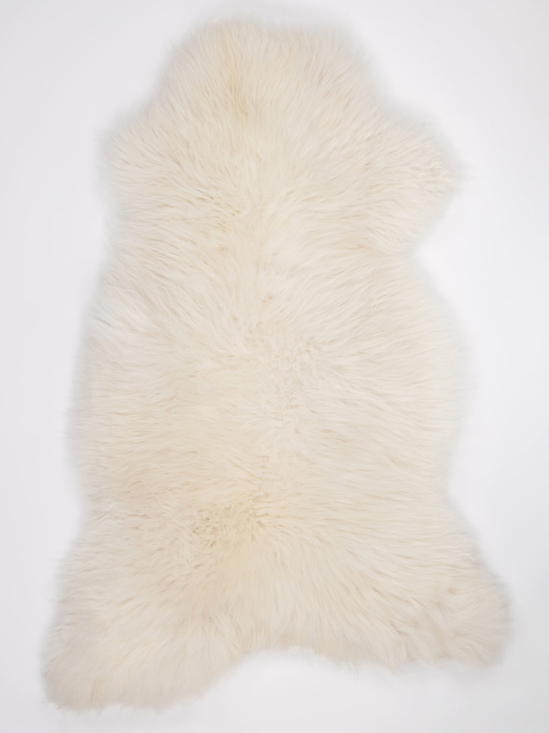 Skandinaviškas baltas avikailis XXL