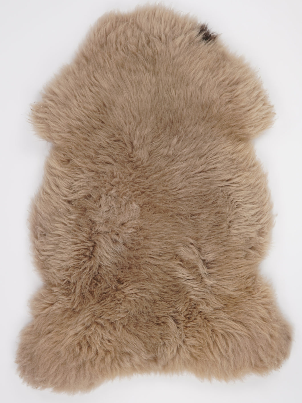 Taupe aitāda XL 
