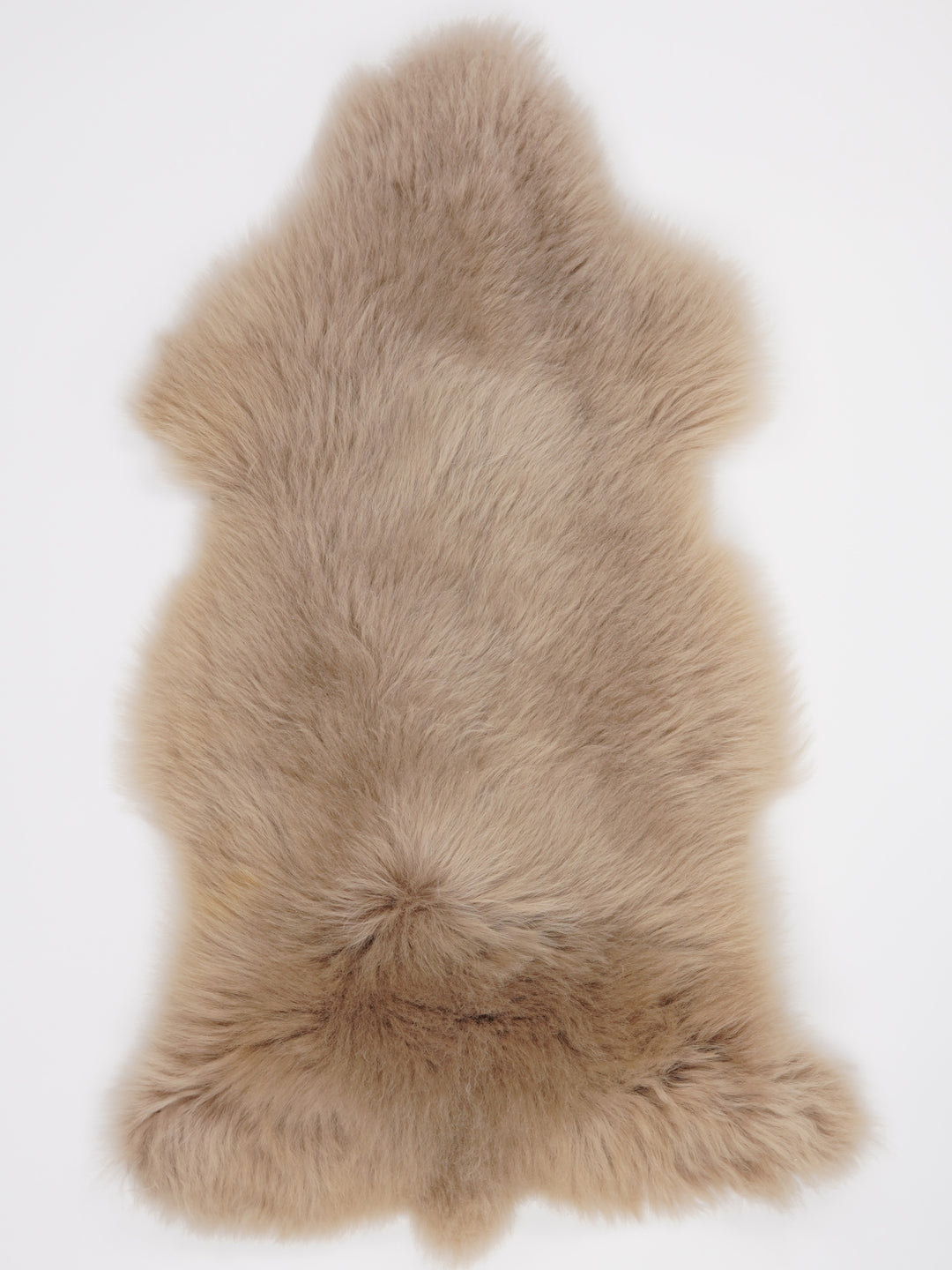 Taupe aitāda L 