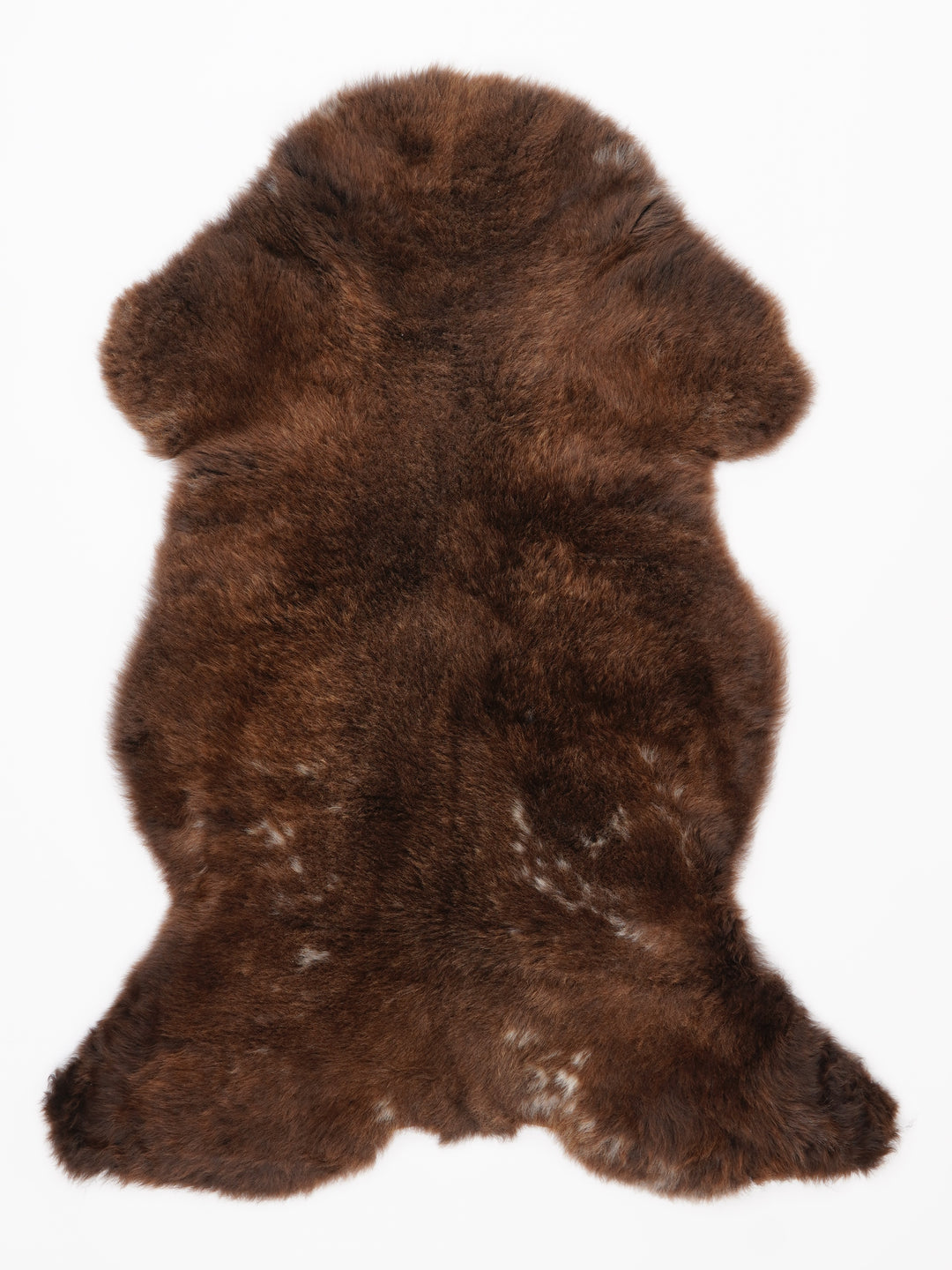 Įvairiaspalvis avikailis L