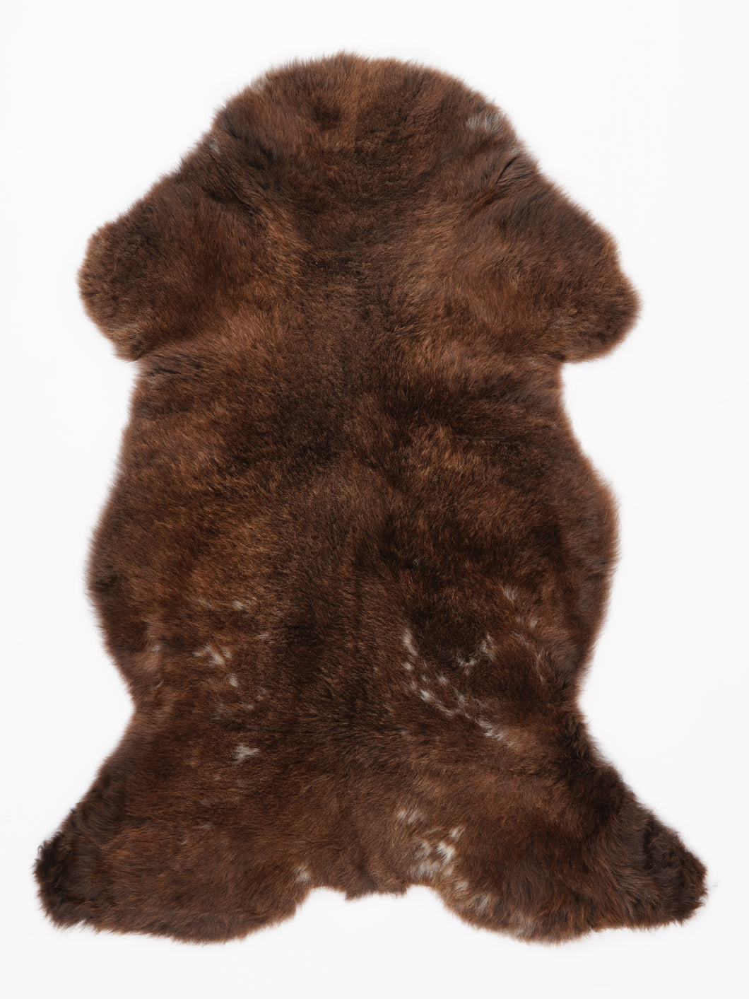 Įvairiaspalvis avikailis L