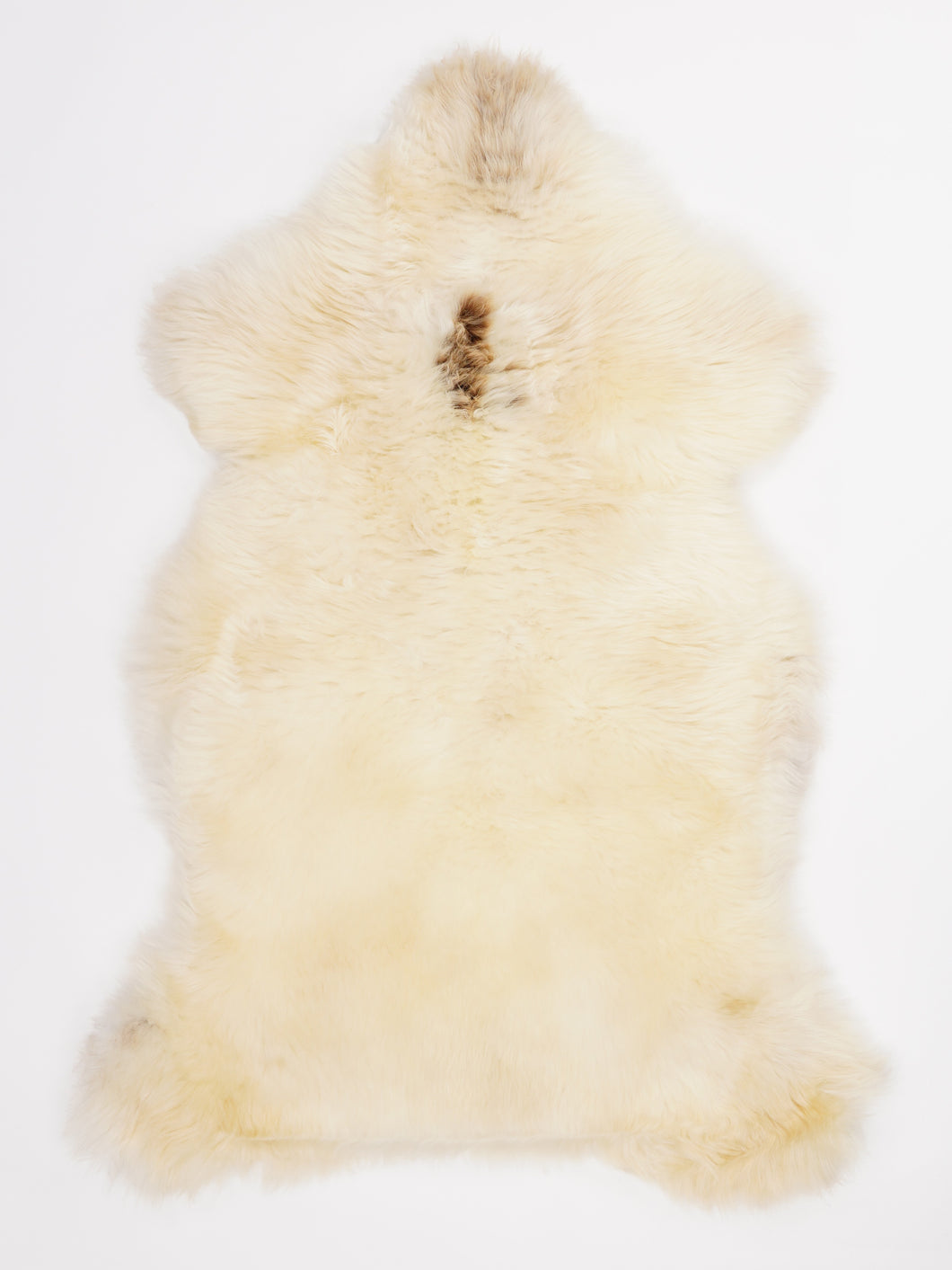 Įvairiaspalvis avikailis XL