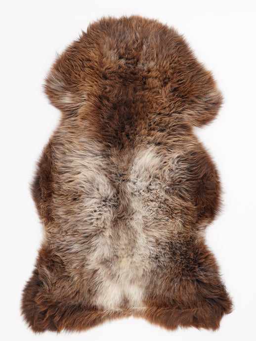 Įvairiaspalvis avikailis L