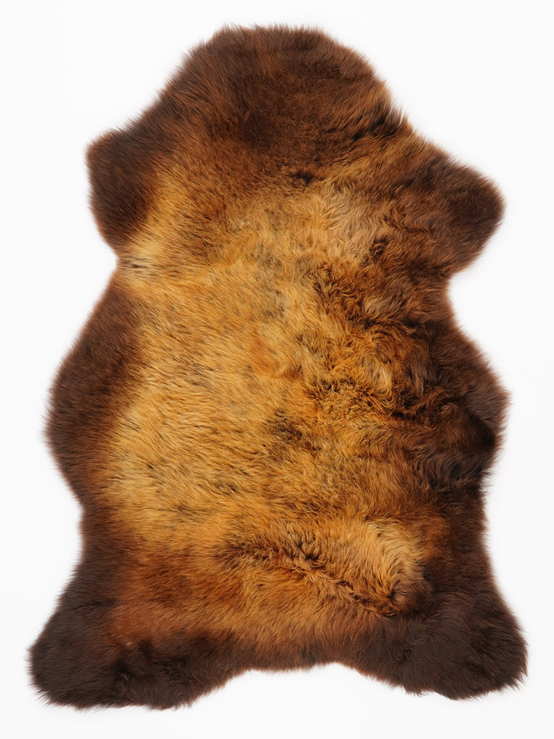 "Rusty" Įvairiaspalvis avikailis S