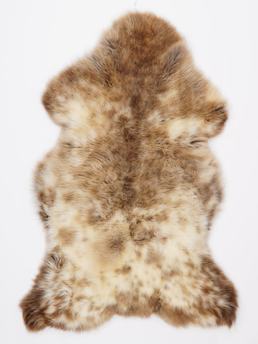 Įvairiaspalvis avikailis L