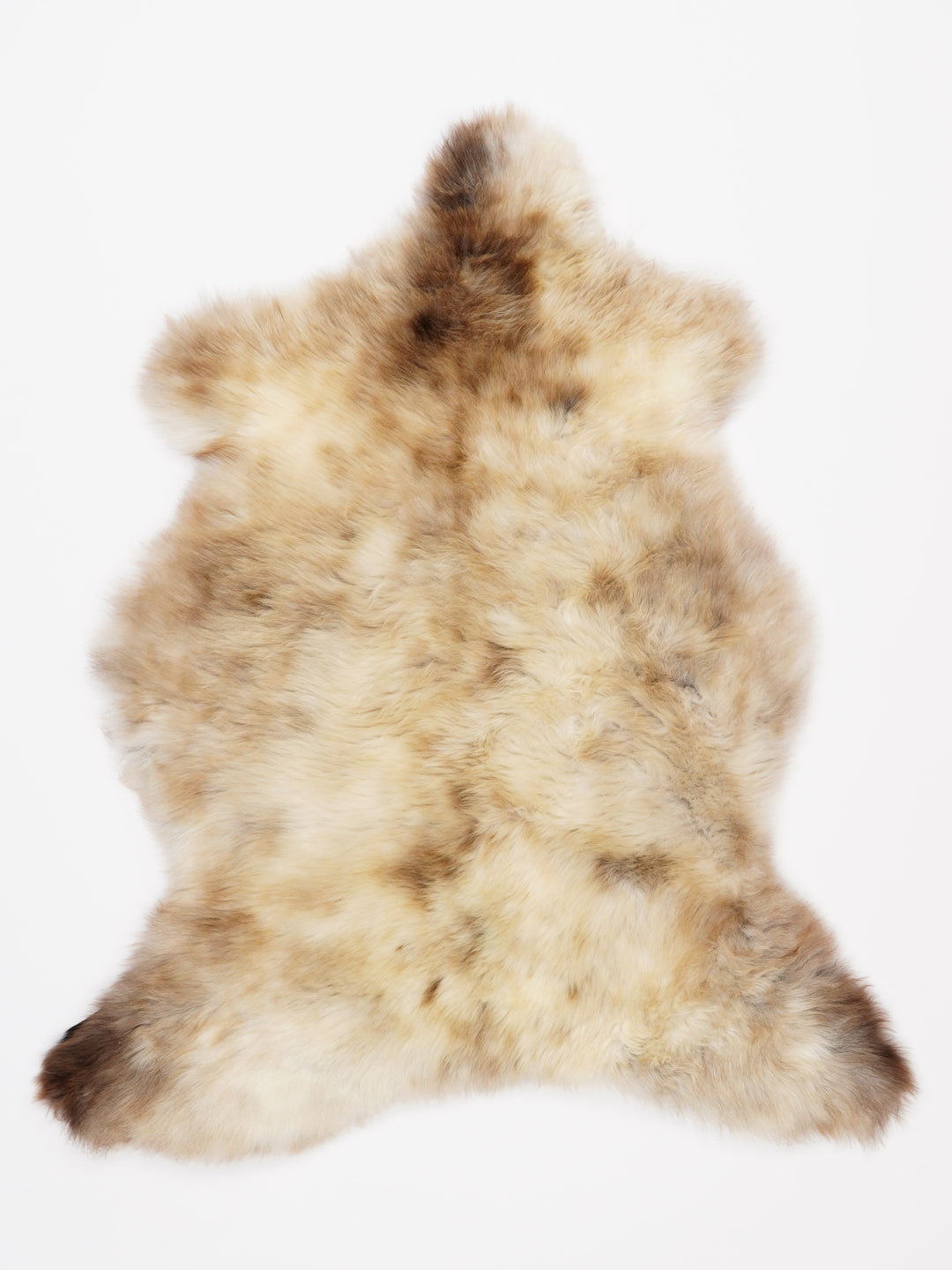 Įvairiaspalvis avikailis M