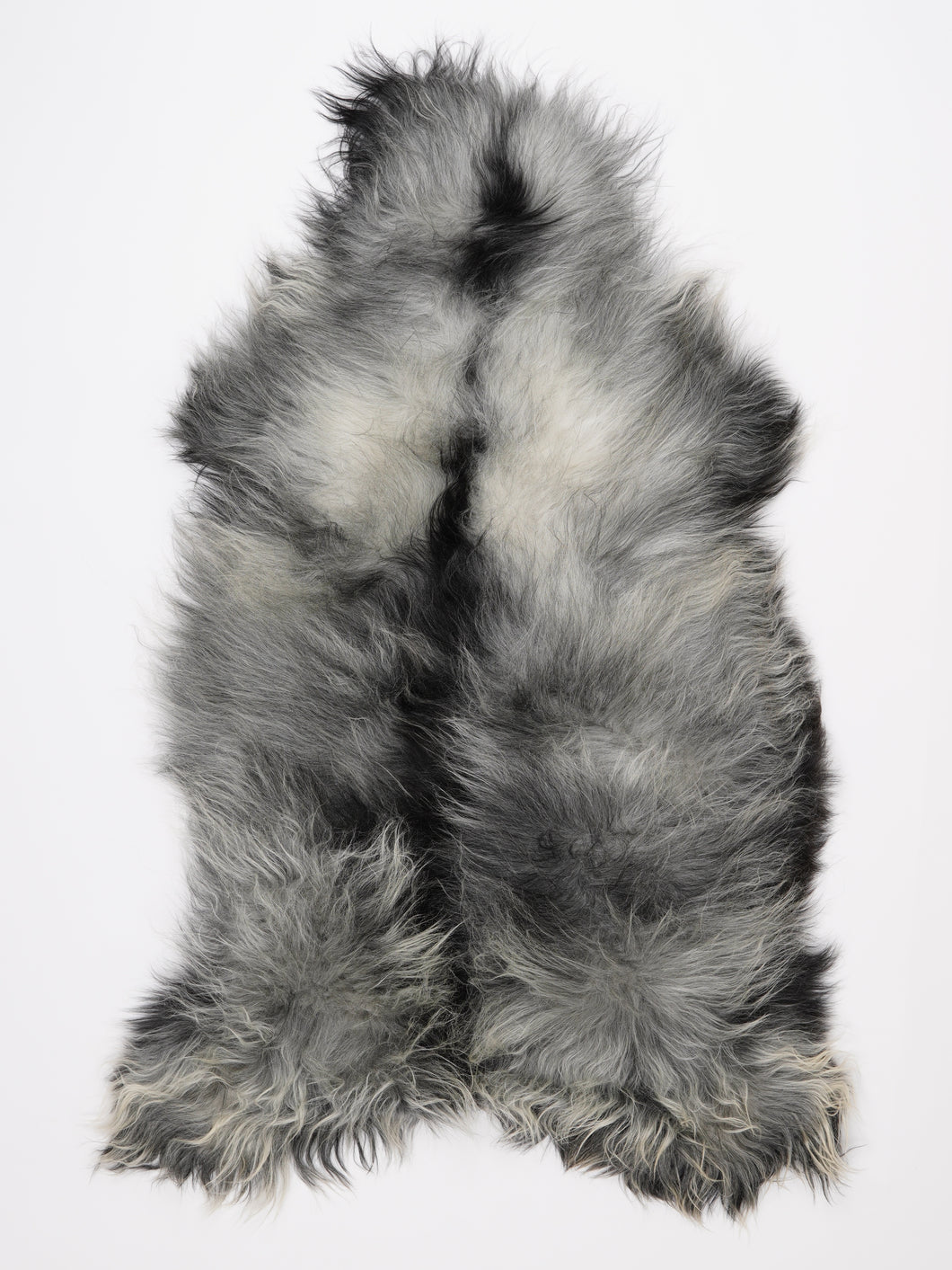 Islandiškas avikailis XXL