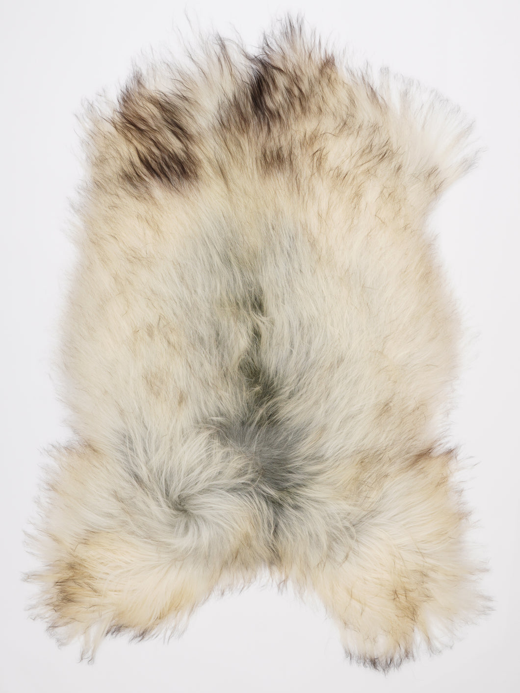 Islandiškas avikailis XL