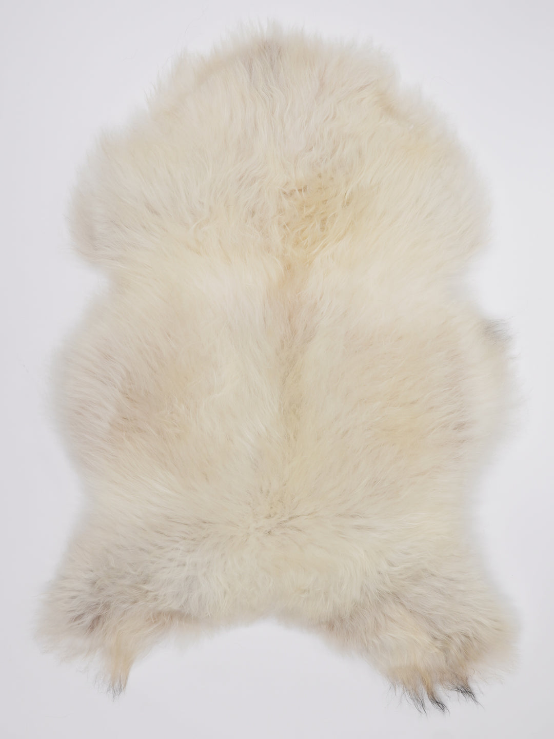 Islandiškas avikailis L