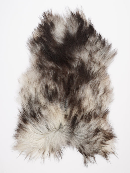 Pilkas islandiškas avikailis XXL