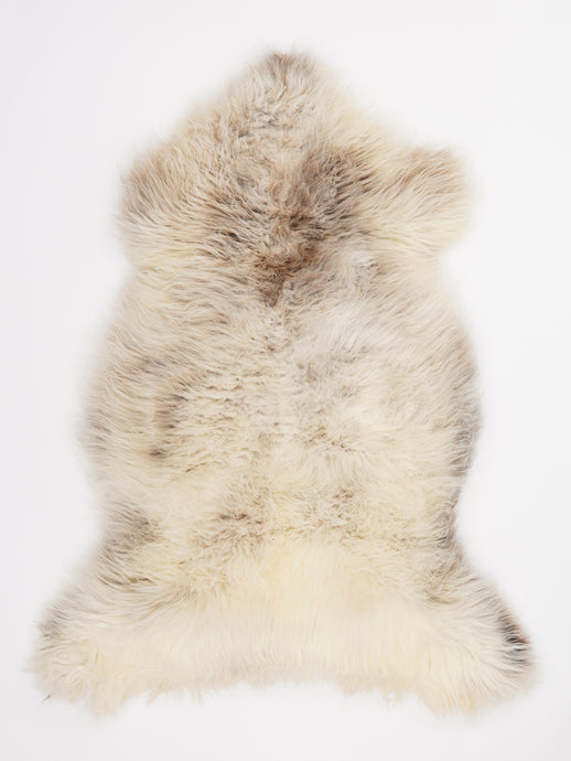 Įvairiaspalvis avikailis L